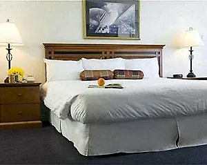 Hotel Plaza 500